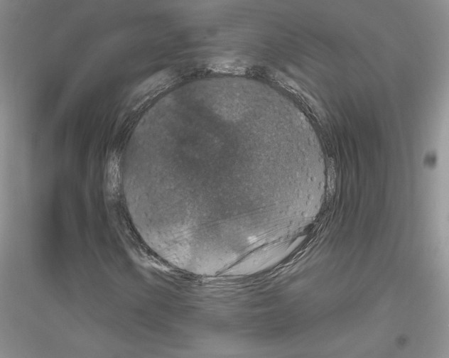 X0000116871154201002021121