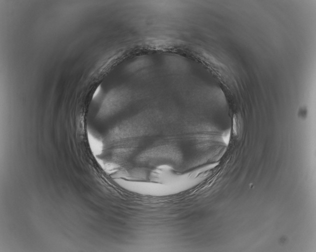 X0000116871155201002021121