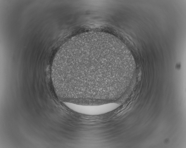 X0000116871156201002021121