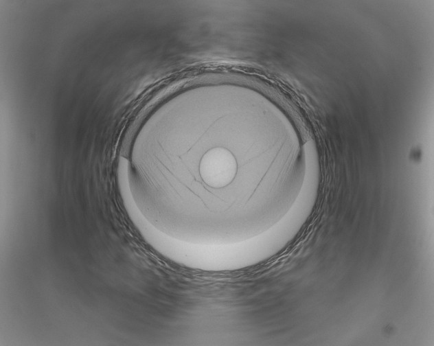 X0000116871157201002021121