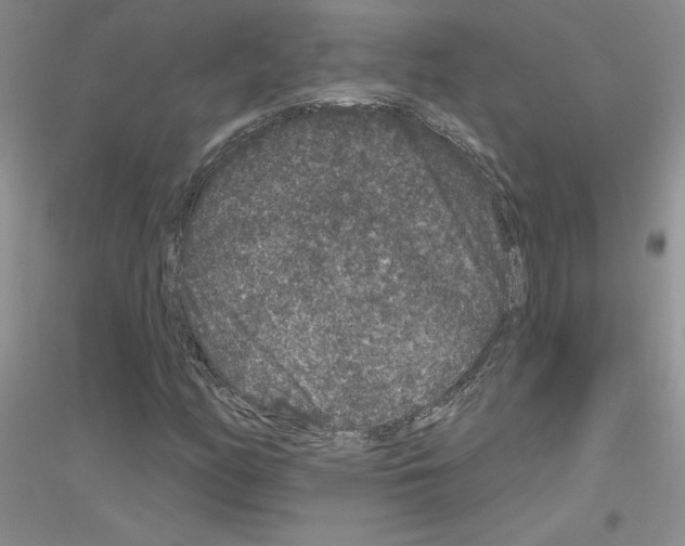 X0000116871158201002021121