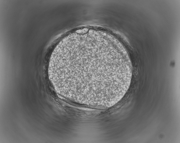 X0000116871159201002021121