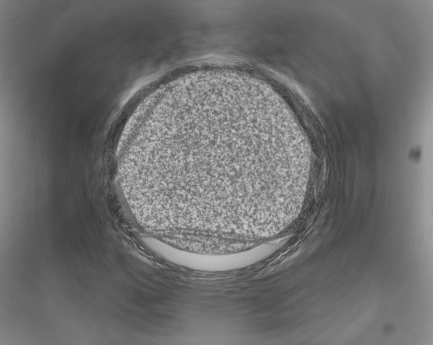 X0000116871160201002021121