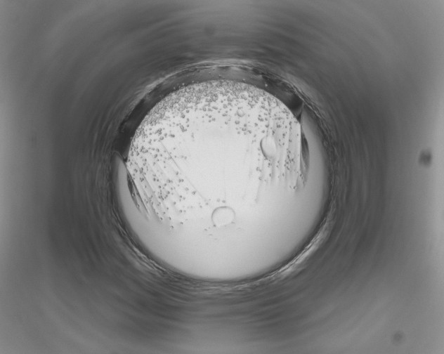 X0000116871161201002021121