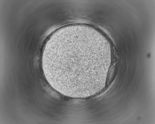 X0000116871163201002021121
