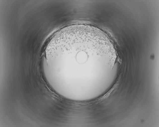 X0000116871165201002021121