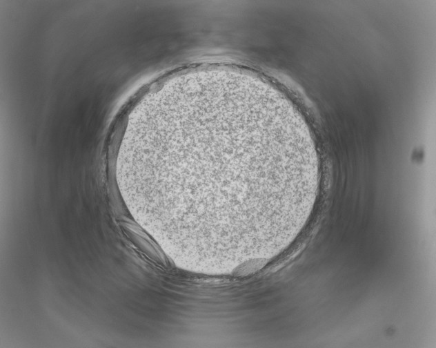X0000116871167201002021121