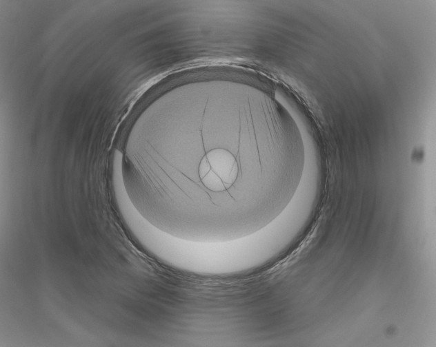 X0000116871169201002021121