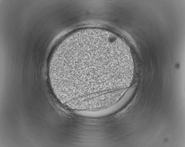 X0000116871172201002021121