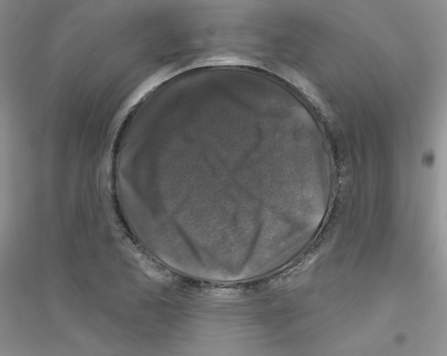 X0000116871173201002021121