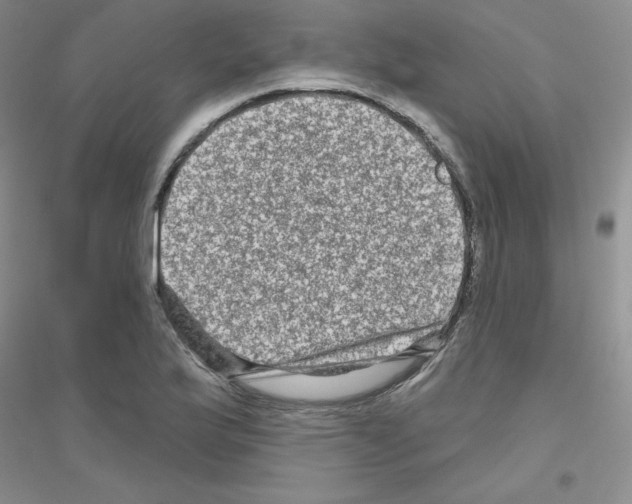 X0000116871175201002021121