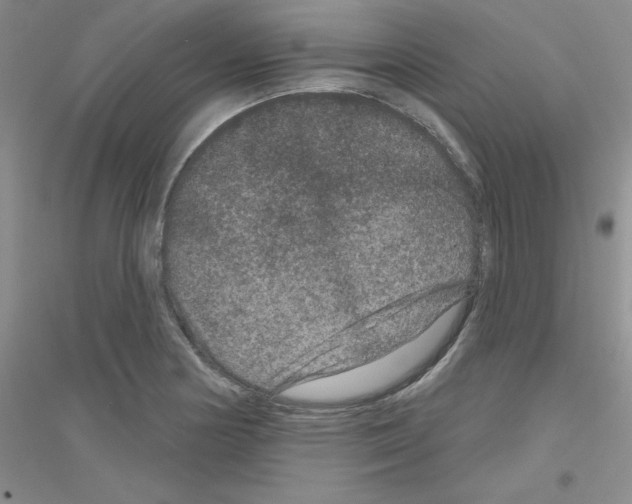 X0000116871178201002021121