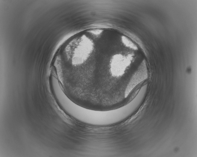 X0000116871179201002021121