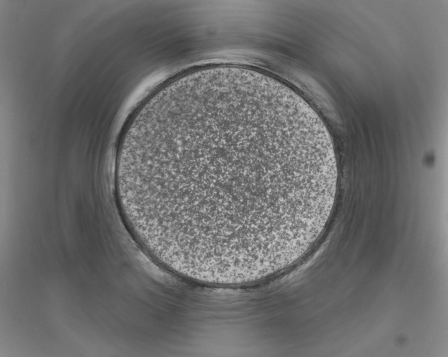 X0000116871180201002021121