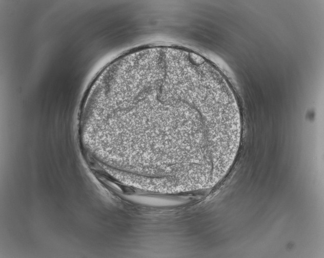 X0000116871183201002021121