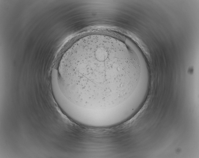 X0000116871185201002021121