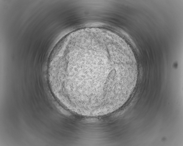 X0000116871186201002021121