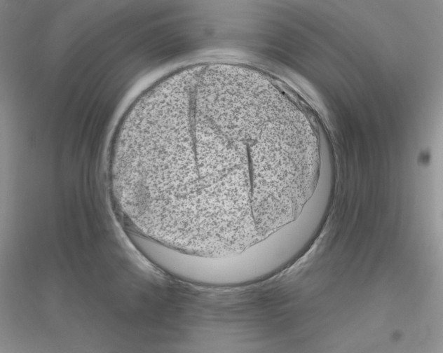 X0000116871192201002021121
