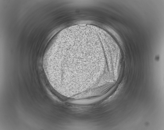 X0000116871193201002021121