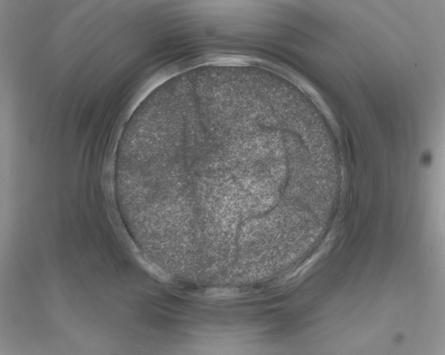 X0000116871194201002021121