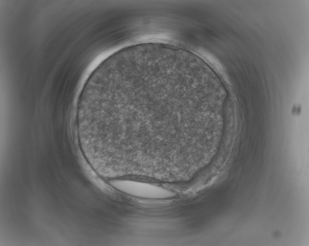X0000116871200201002021120