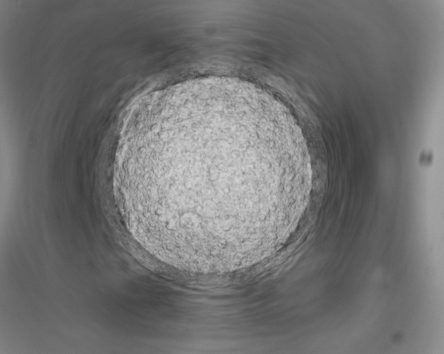 X0000116871201201002021120