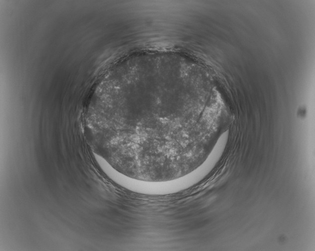 X0000116871202201002021120
