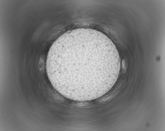 X0000116871203201002021120