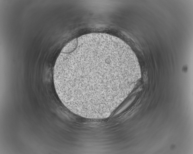 X0000116871204201002021120