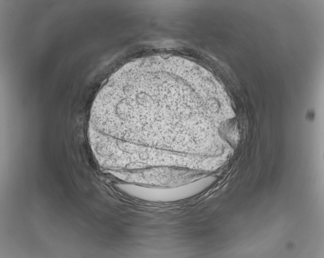 X0000116871205201002021120