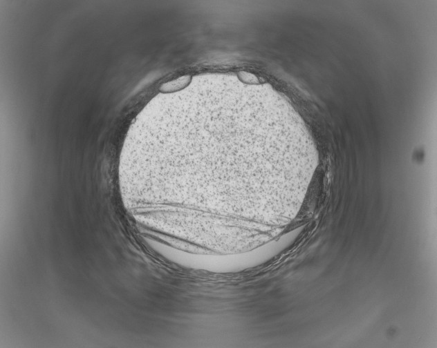 X0000116871206201002021120