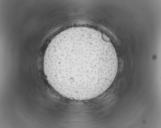 X0000116871207201002021120