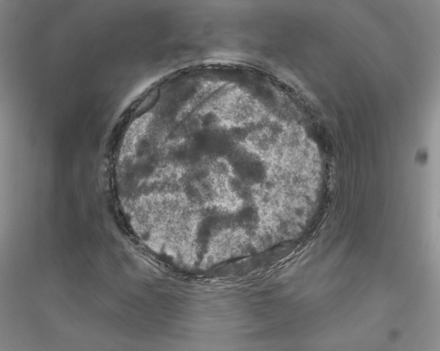 X0000116871208201002021120