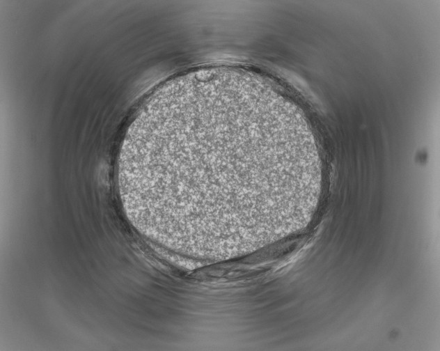 X0000116871209201002021120