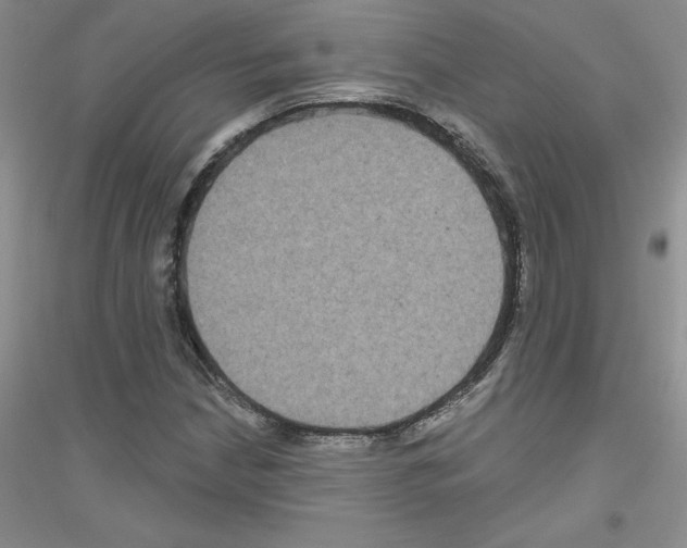 X0000116871210201002021120