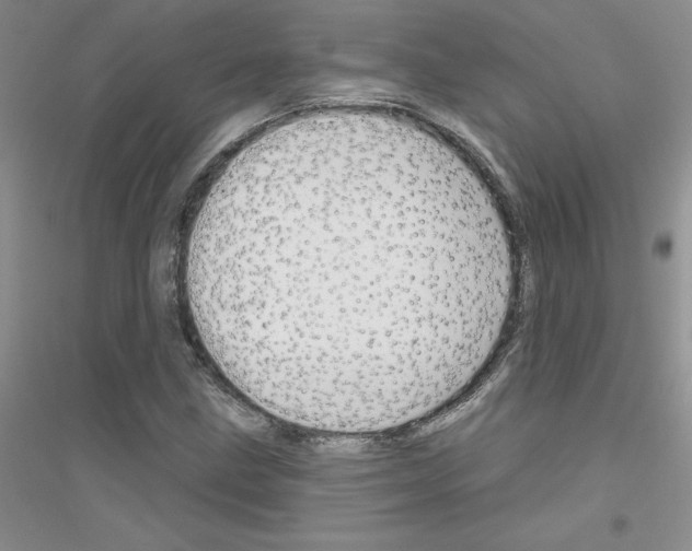 X0000116871211201002021120
