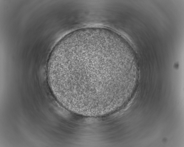 X0000116871212201002021120