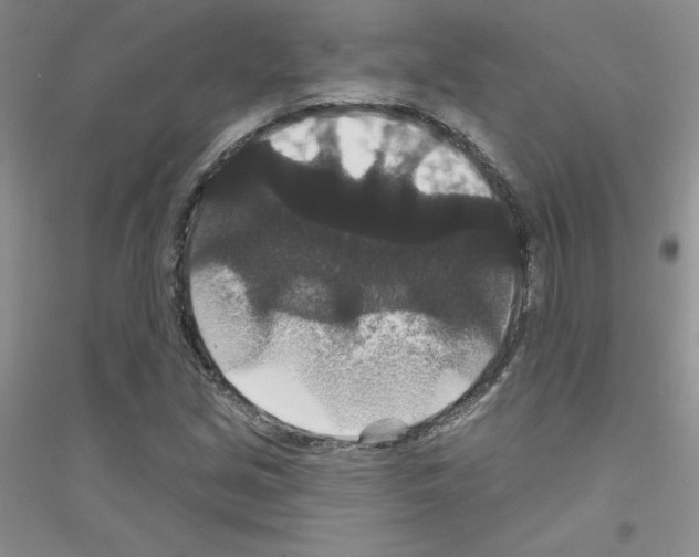 X0000116871213201002021120