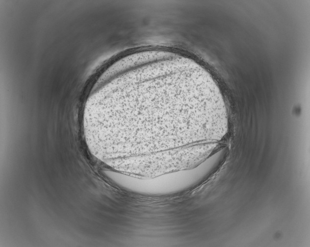 X0000116871214201002021120
