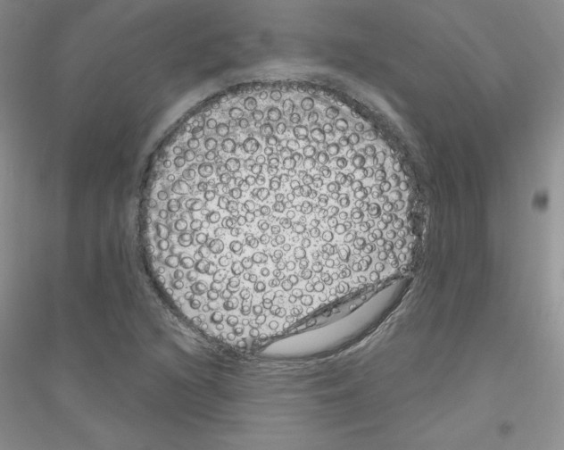 X0000116871216201002021120