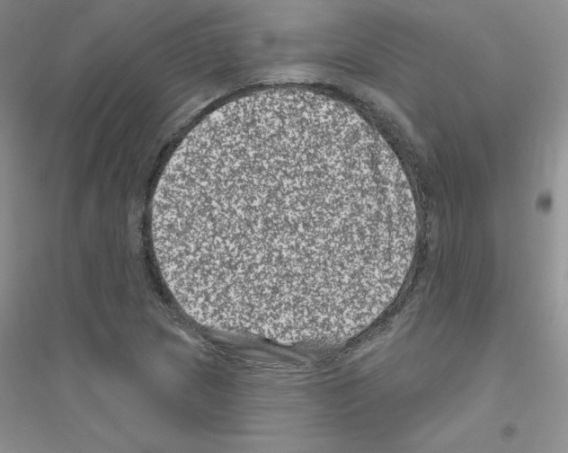 X0000116871217201002021120