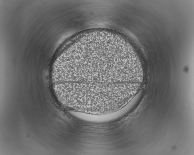 X0000116871218201002021120