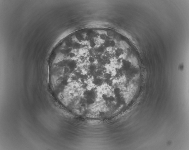 X0000116871219201002021120