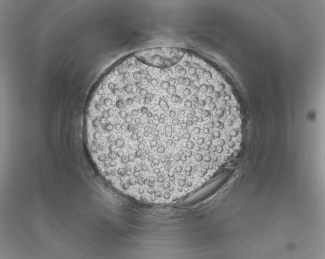 X0000116871220201002021120