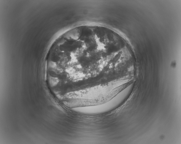 X0000116871223201002021120