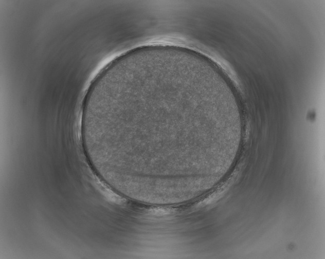 X0000116871224201002021120