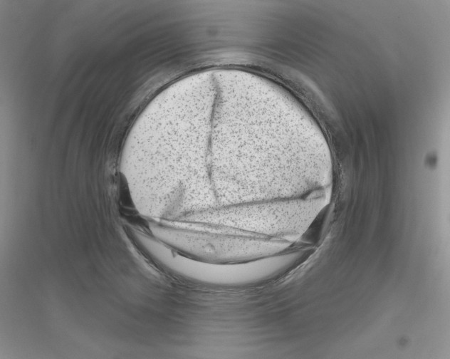 X0000116871225201002021120
