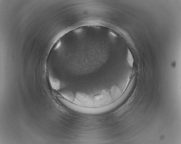 X0000116871226201002021120