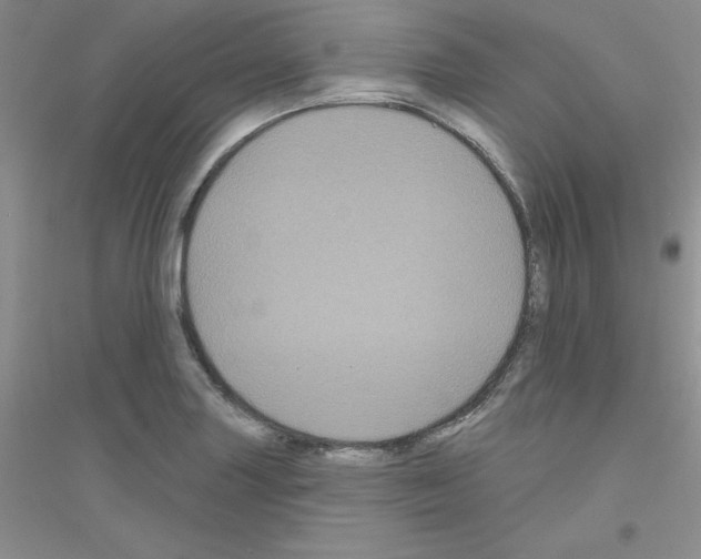X0000116871227201002021120