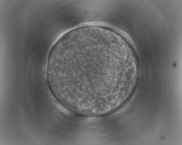 X0000116871228201002021120